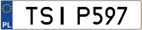 Trailer License Plate